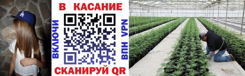 Где продают наркотики Ладушкин Cocaine  A PVP  Псилоцибиновые грибы  ГАШИШ  Канабис  МЕФ 