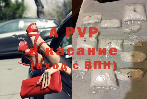 бошки Ладушкин