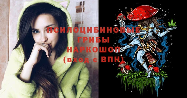 a pvp Кулебаки