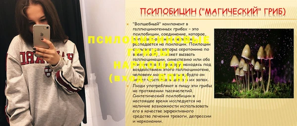 a pvp Кулебаки