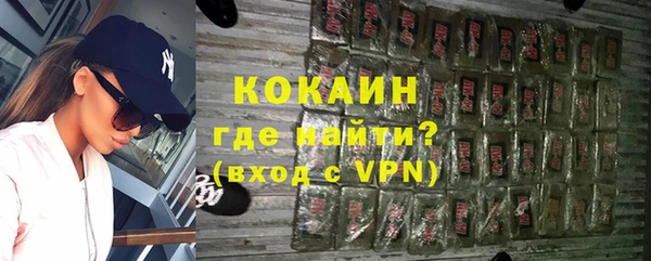 шишки Краснослободск