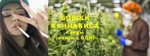 бошки Ладушкин